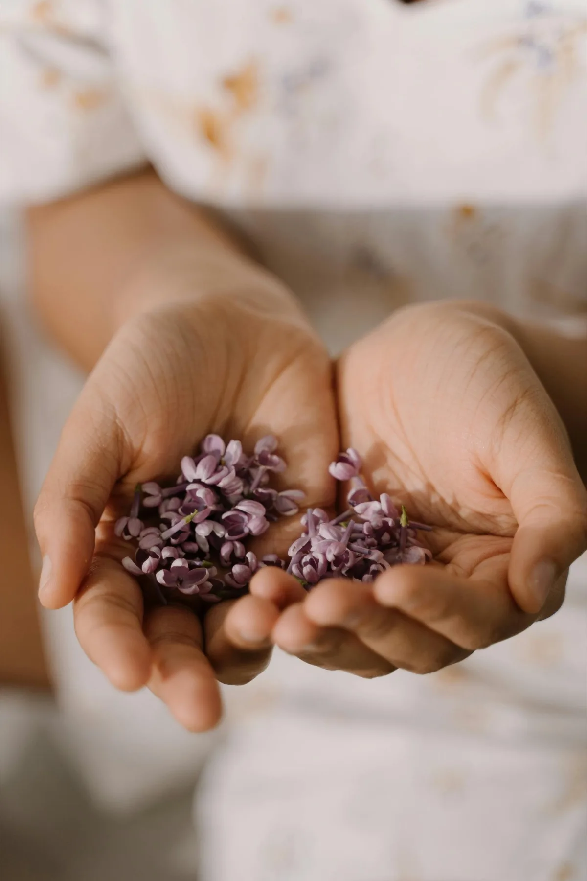 Hands holding small purple flowers in a calm setting